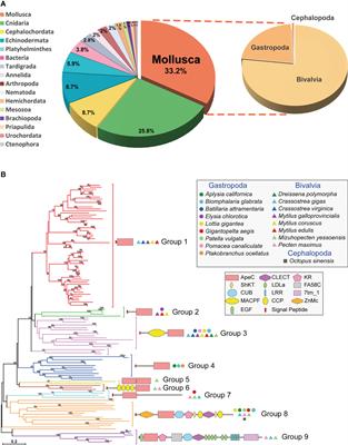 Two novel mollusk short-form ApeC-containing proteins act as pattern recognition proteins for peptidoglycan